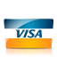 visa icon